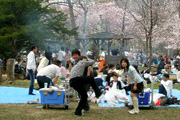 花見