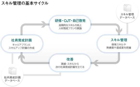 テクノウイングのスキル管理基本サイクル：社員育成計画、研修・OJT・自己啓発、スキル管理、改善