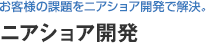 ニアショア開発：お客様の課題をニアショア開発で解決。